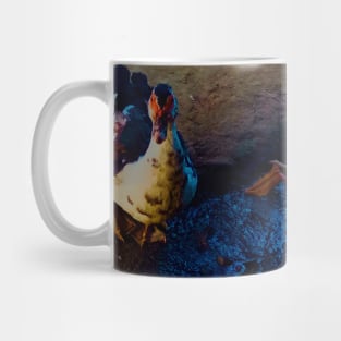 Duck Walking on Mud Ground Mug